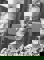 Daan Website Kopie