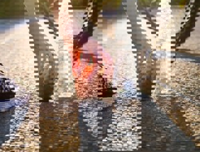 Nieuw Beeld Lectoraat Voeding En Gezondheid