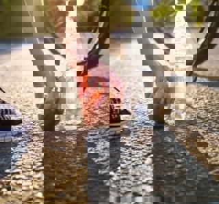 Nieuw Beeld Lectoraat Voeding En Gezondheid